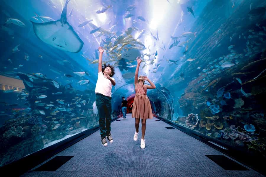 Dubai: Aquarium and Underwater Zoo Experience - Glass-bottom boat and extra activities: when the upgrades pay off