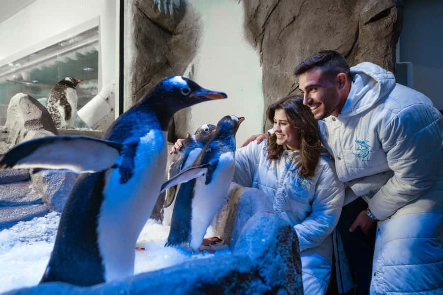 Dubai: Aquarium and Underwater Zoo Experience - The photo and shop reality: how to avoid surprise costs