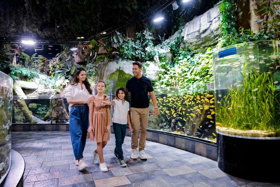 Dubai: Aquarium and Underwater Zoo Experience - How long should you plan, and who should book this