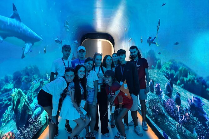 Dubai Aquarium And Underwater Zoo Tickets At Dubai Mall - Quick highlights before you go
