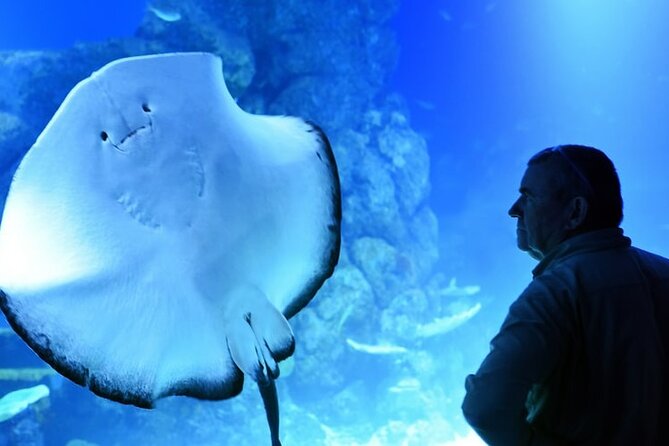 Dubai Aquarium And Underwater Zoo Tickets At Dubai Mall - Dubai Mall location: how this fits into your day