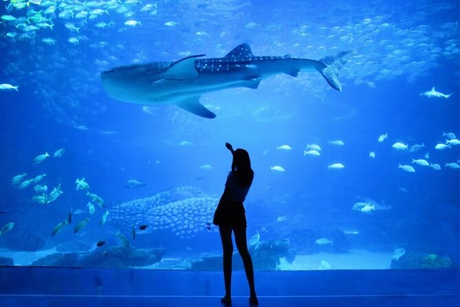Dubai Aquarium And Underwater Zoo Tickets At Dubai Mall - Underwater Zoo exhibits: what you actually get in 1–3 hours