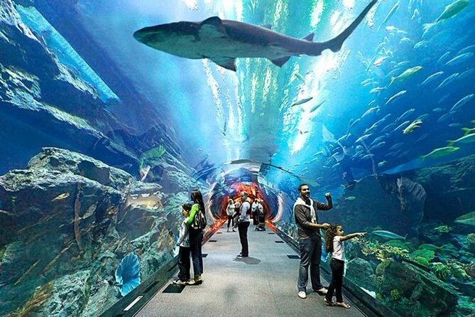 Dubai Aquarium and Underwater Zoo with Penguin Cove Tickets. - How to avoid common frustrations (and enjoy it more)