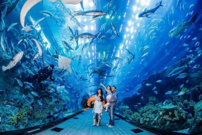 Dubai Aquarium & Level 124 Burj Khalifa Combo - Dubai Aquarium tunnel and Underwater Zoo: plan your route so you don’t miss the best bits