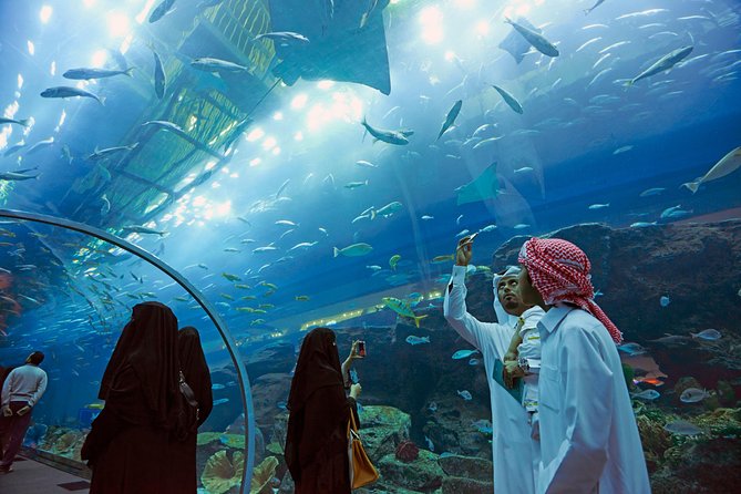 Dubai Aquarium + Penguin Cove Tickets with Transfers - Penguin Cove: plan your timing for penguin watching