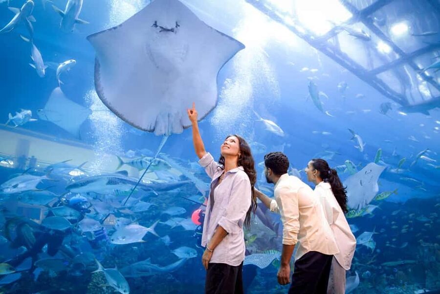 Dubai Aquarium + Sky Views Observatory Tickets - Key things you should know before you go
