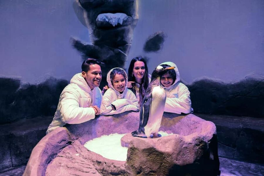 Dubai Aquarium + Sky Views Observatory Tickets - Glass Slide rules: adrenaline with real limits