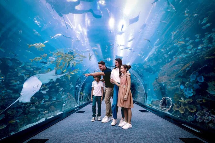 Dubai Aquarium + Sky Views Observatory Tickets - Value for $95: why this combo can make sense