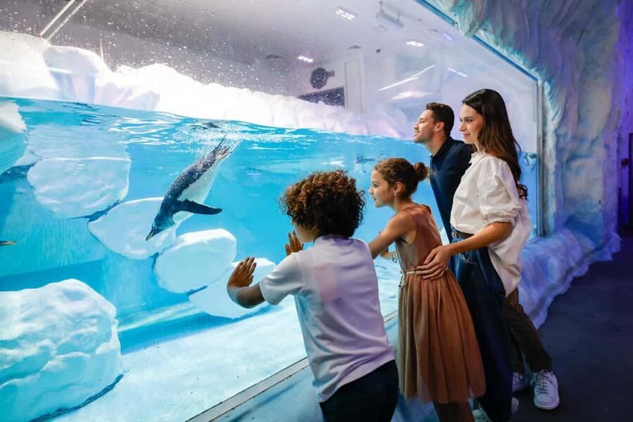 Dubai Aquarium + Sky Views Observatory Tickets - Best fit: who should book this day out