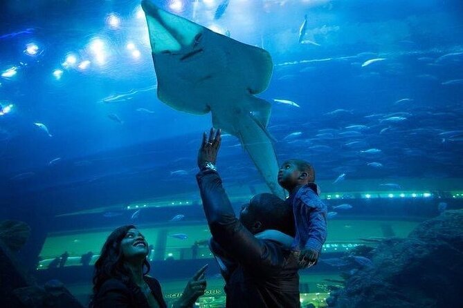 Dubai Aquarium underater zoo penguin cove with optional transport - Transport and meeting point: making arrival painless