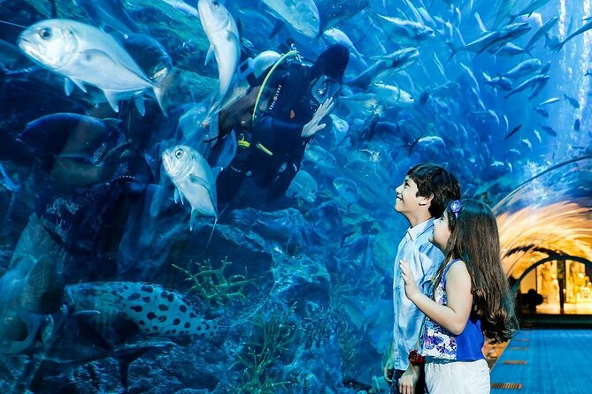 Dubai Aquarium & Underwater Zoo - Dubai Mall Aquarium: Why This Place Feels So Big