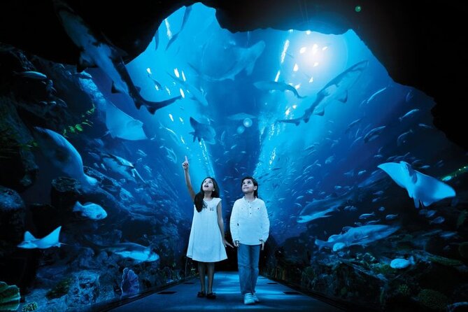 Dubai Aquarium & Underwater Zoo - Aquariums With Variety: More Than One Tank Theme