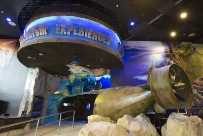 Dubai Aquarium & Underwater Zoo - The 48-Metre Tunnel: The Main Event