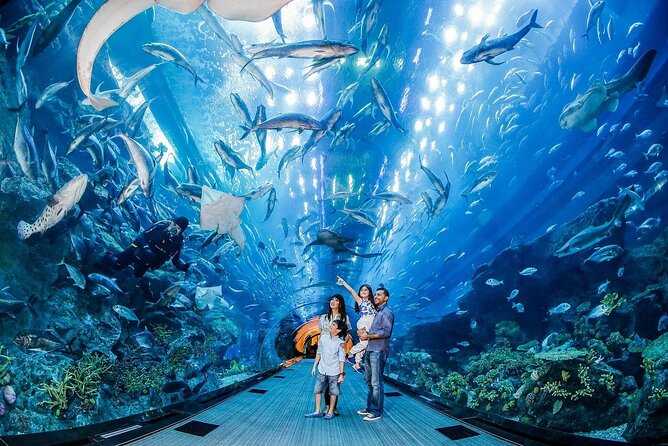 Dubai Aquarium & Underwater Zoo - Optional Add-Ons: Penguin Cove and the Glass Bottom Boat