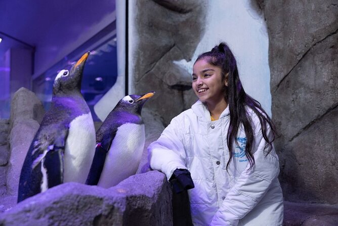 Dubai Aquarium & Underwater Zoo - Price and Value: Is $51.89 Worth It?