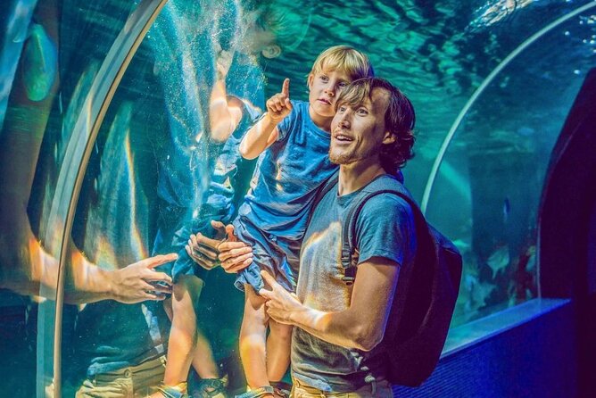 Dubai Aquarium & Underwater Zoo - Timing and Crowd Reality in Dubai Mall