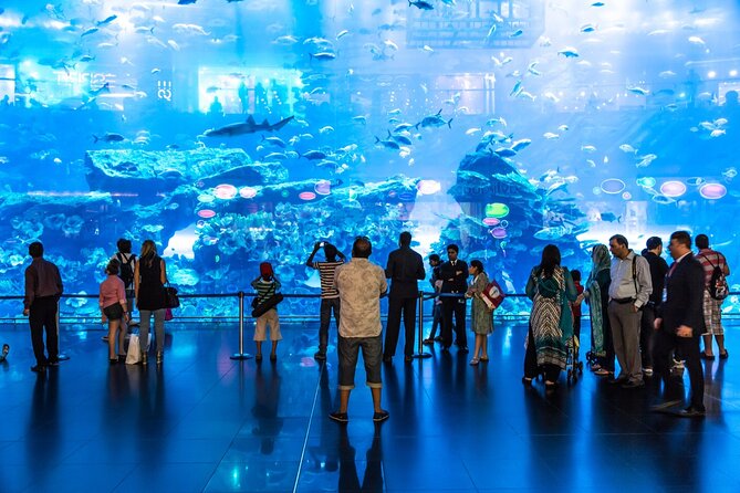 Dubai Aquarium & Underwater Zoo Entrance Ticket - Entering the Giant Tank: 10 Million Litres of Ocean-Scale Viewing