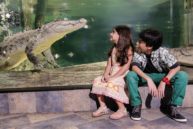 Dubai Aquarium & Underwater Zoo Entrance Ticket - The Animals That Make This Ticket Worth It: Sharks, Rays, Penguins, Piranhas