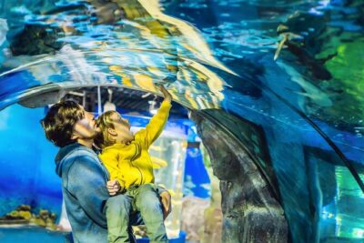 Dubai Aquarium & Underwater Zoo Entrance Ticket - Underwater Zoo After the Aquarium: King Croc and the Animal Lineup