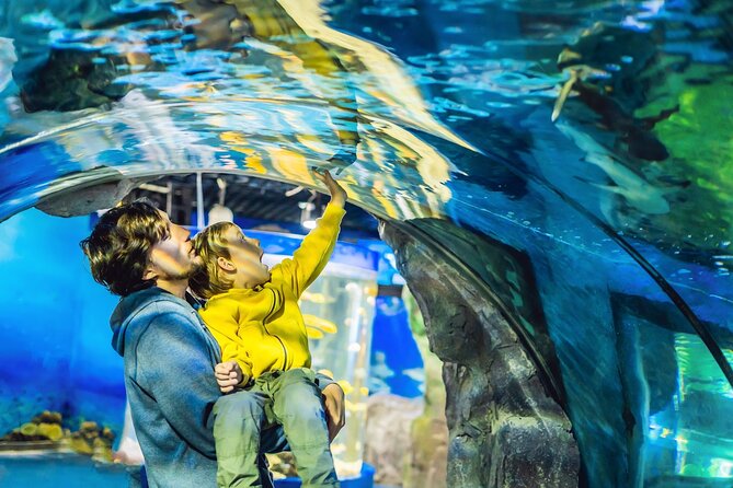 Dubai Aquarium & Underwater Zoo Entrance Ticket - Underwater Zoo After the Aquarium: King Croc and the Animal Lineup