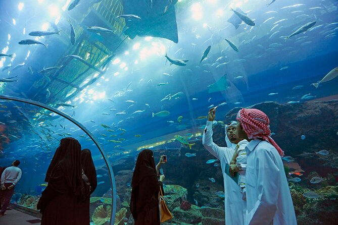 Dubai Aquarium & Underwater Zoo with Penguin Cove - How the About-1-Hour Duration Plays Out in Real Life