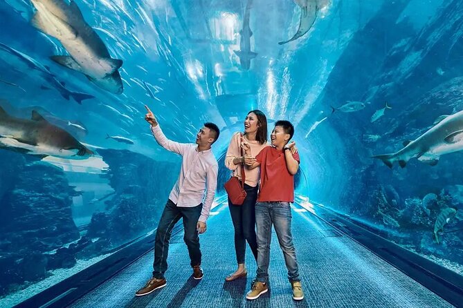 Dubai Aquarium UnderwaterZoo and Penguin cove Admission Ticket - Why This Aquarium + Penguin Ticket Works in 1–2 Hours