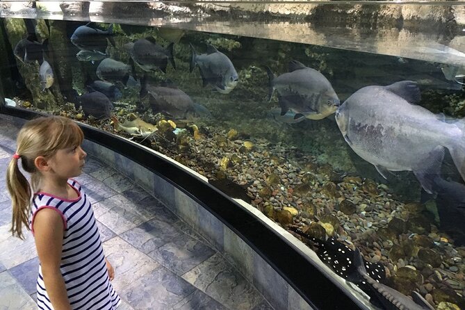 Dubai Aquarium UnderwaterZoo and Penguin cove Admission Ticket - The Animal Highlights That Make This Ticket Worth It
