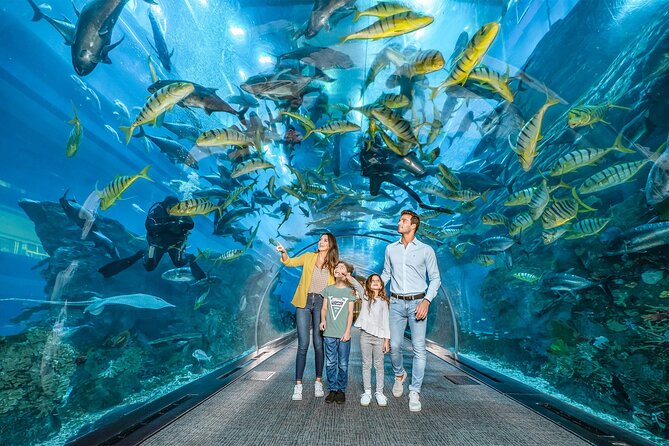 Dubai Aquarium UnderwaterZoo and Penguin cove Admission Ticket - Timing: How to Fit It Into a Busy Dubai Day