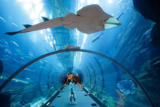 Dubai Aquarium UnderwaterZoo and Penguin cove Admission Ticket - Price and Value: Is $48 Actually a Good Deal?