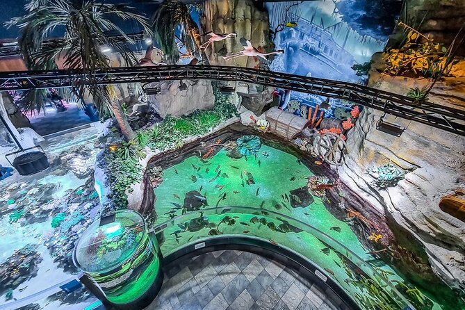 Dubai Aquarium UnderwaterZoo and Penguin cove Admission Ticket - Logistics Reality Check: Ticket Delivery Can Be a Weak Link