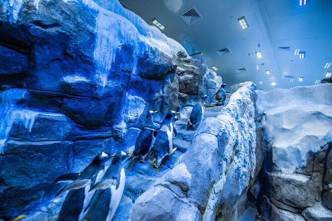 Dubai Aquarium with Various Animal Encounter and Access Options - Inside Dubai Mall’s aquarium tunnel: where the experience starts