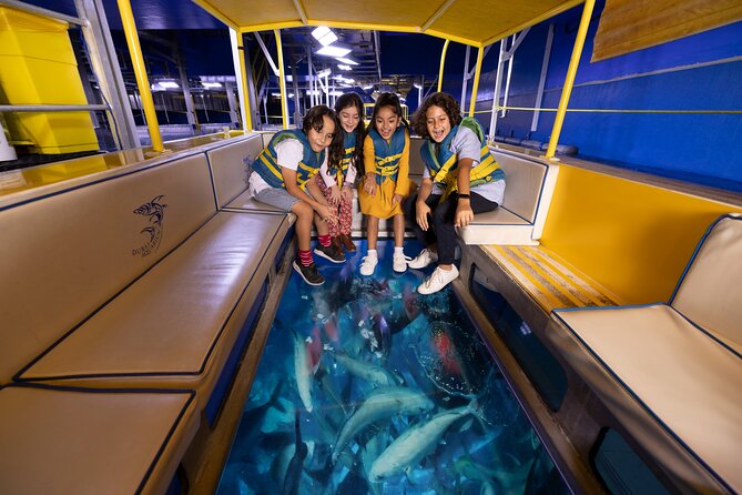 Dubai Aquarium with Various Animal Encounter and Access Options - Price and logistics: what $62 buys you, and what it doesn’t