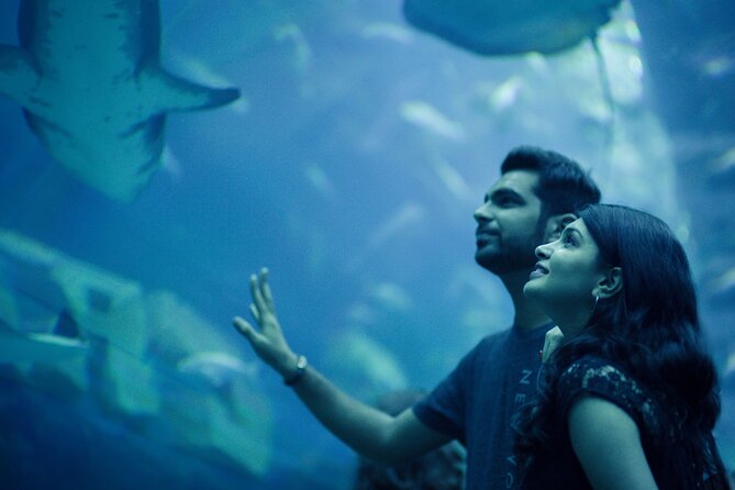 Dubai Aquarium with Various Animal Encounter and Access Options - Who this experience suits best