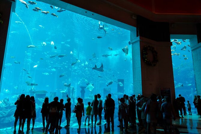 Dubai Lost Chambers Aquarium Admission E-Ticket - Timing Your Visit: How Long It Really Takes
