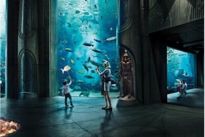 Dubai Lost Chambers Aquarium Admission E-Ticket - What You’ll See: 65,000 Marine Animals in 10 Chambers