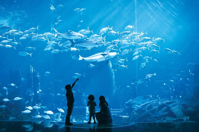 Dubai Lost Chambers Aquarium Admission E-Ticket - Price and Value: Paying About $22.49 Smartly