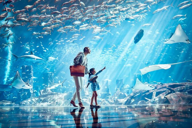 Dubai Lost Chambers Aquarium Admission E-Ticket - Should You Book the Dubai Lost Chambers Aquarium Admission?