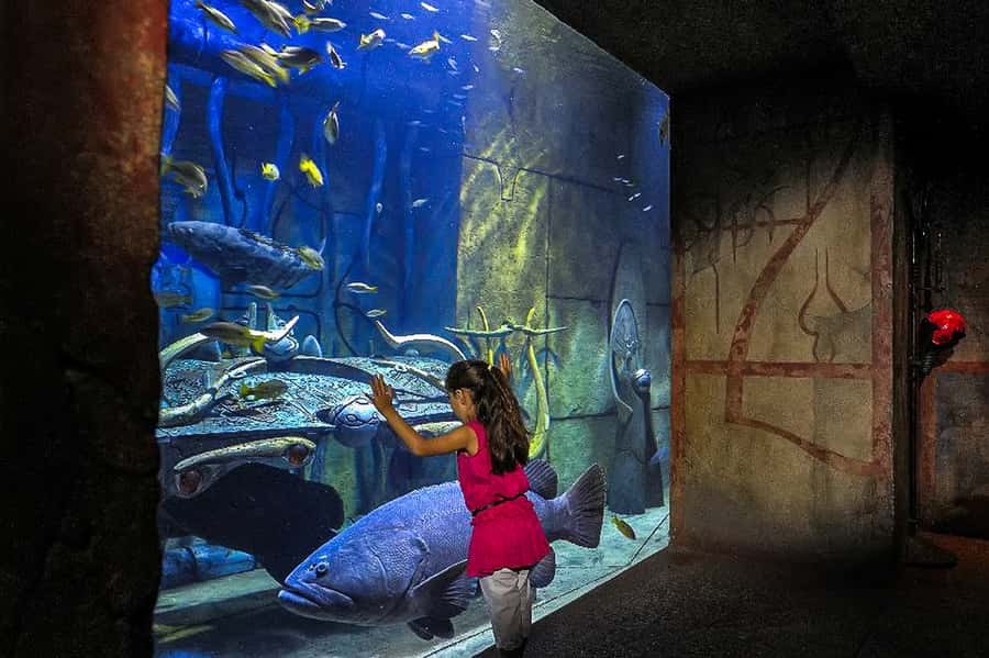 Dubai: Lost Chambers Aquarium Entry Ticket - Ocean Explorer clues, Marine Educators, and the daily schedule