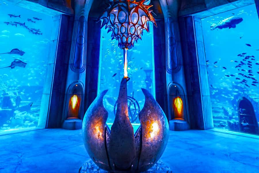 Dubai: Lost Chambers Aquarium Entry Ticket - What you’ll see: from sharks and rays to clownfish