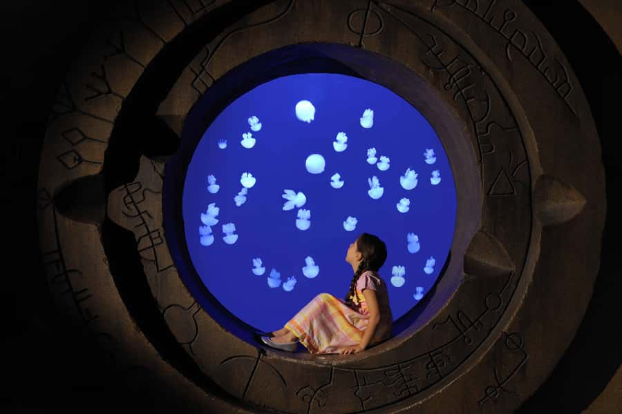 Dubai: Lost Chambers Aquarium Entry Ticket - The 14 Atlantis chambers: the route is the show