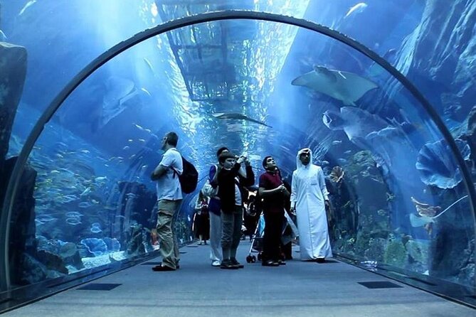 Dubai Mall Aquarium and Underwater Zoo Ticket - The 48-meter underwater tunnel and the 270-degree viewing angle