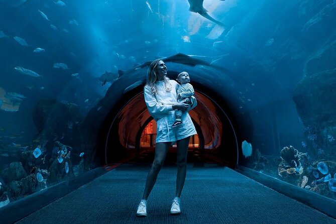 Dubai Mall Aquarium and Underwater Zoo Ticket - Ticket price and value: is $69.78 worth it?