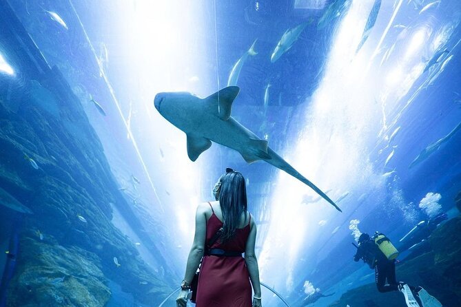 Dubai Mall Aquarium and Underwater Zoo Ticket - Getting your barcoded ticket right: the real risk