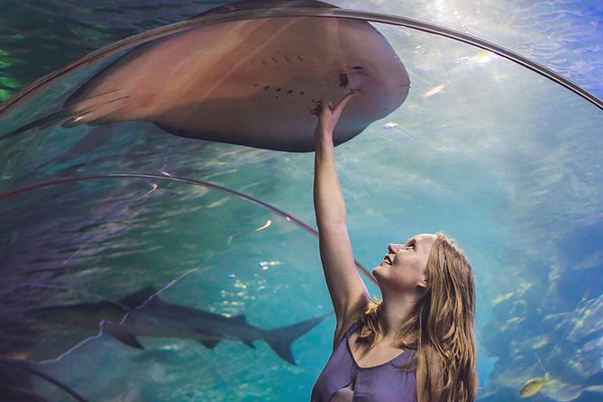 Dubai Mall Aquarium & Underwater Zoo with Penguin Cove Tickets - Dubai Mall Aquarium Value: What This Ticket Covers
