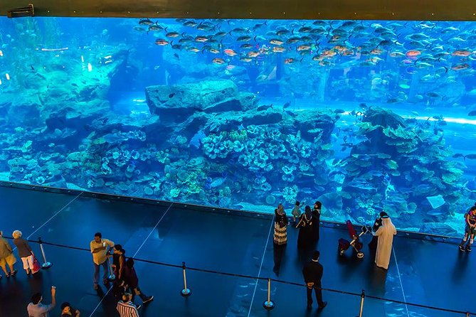 Dubai Mall Aquarium & Underwater Zoo with Penguin Cove Tickets - Penguin Cove Timing: How Included Access Helps You Plan