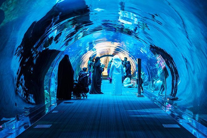 Dubai Mall Aquarium & Underwater Zoo with Penguin Cove Tickets - Logistics That Matter: How to Use All-Day Entry