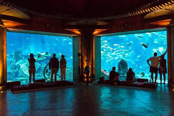 Dubai Mall Aquarium & Underwater Zoo with Penguin Cove Tickets - Price and Value: Is $54.52 a Fair Deal?