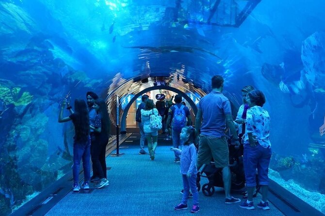 Dubai Mall Aquarium with Penguin Cove + Skyview Ticket - Dubai Mall Aquarium & Underwater Zoo: 10 Million Litres of Sharks, Rays, and Penguins