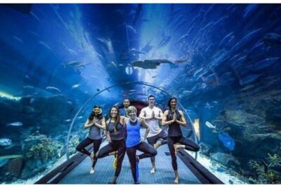 Dubai Mall Aquarium with Penguin Cove + Skyview Ticket - How the Combo Fits Together in 2 to 3 Hours