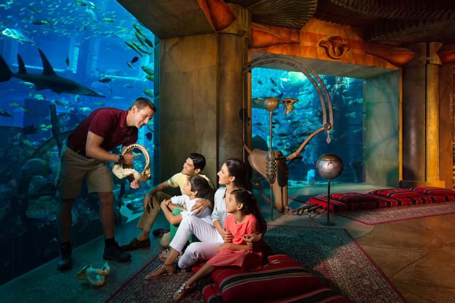 Dubai: The Lost Chambers Aquarium Atlantis Diving Experience - Key highlights at a glance